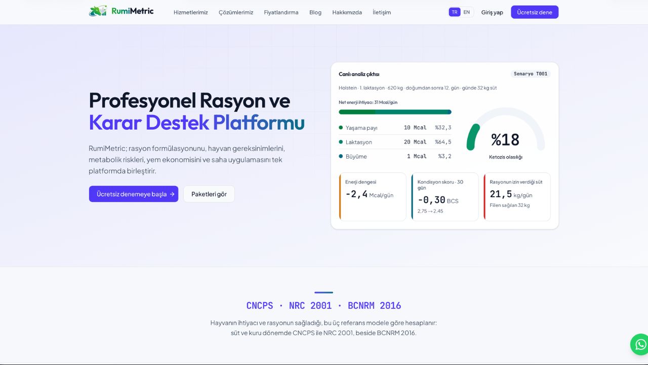 RumiMetric preview